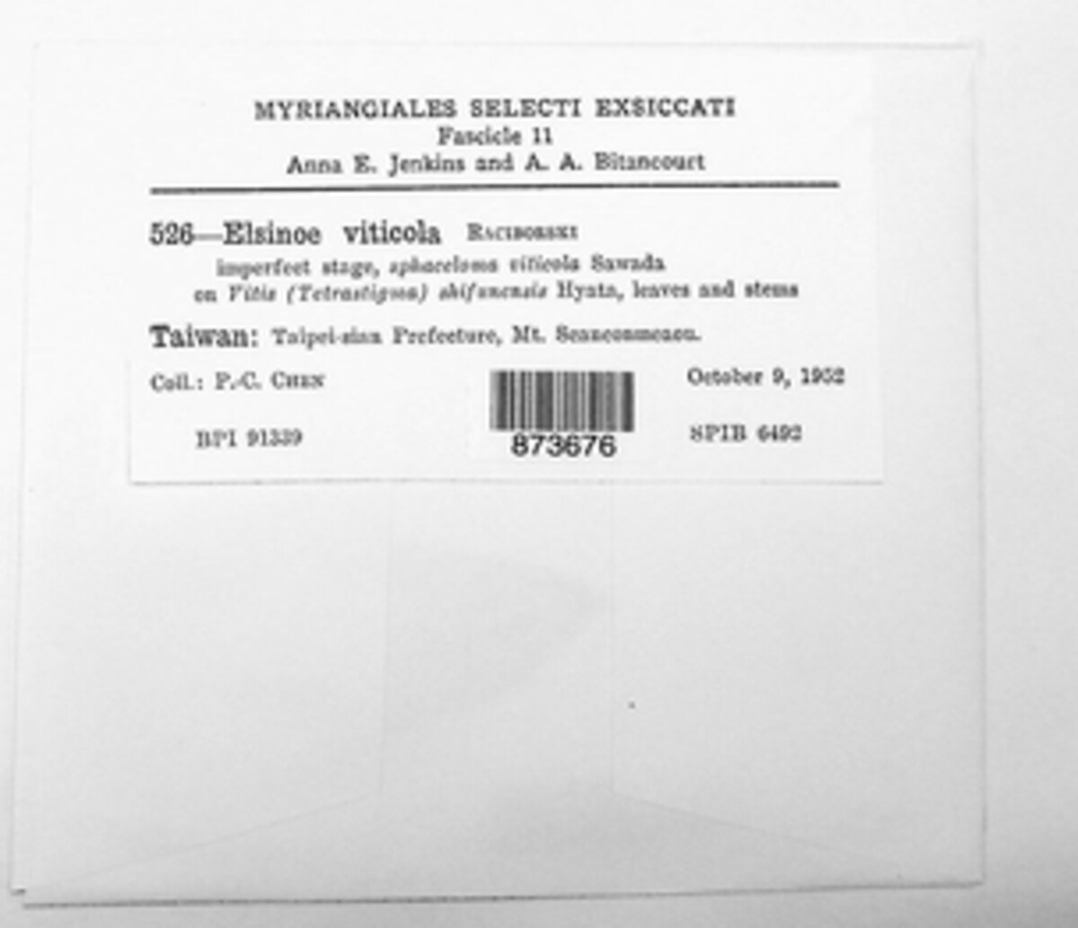 Elsinoe viticola image